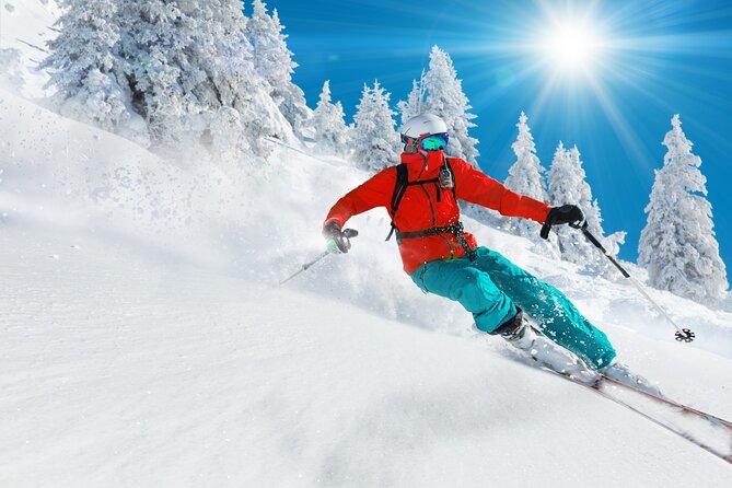 Private Transfer from Malpensa to Val Thorens - Meeting Point Reality: Val Thorens Timing And Hours