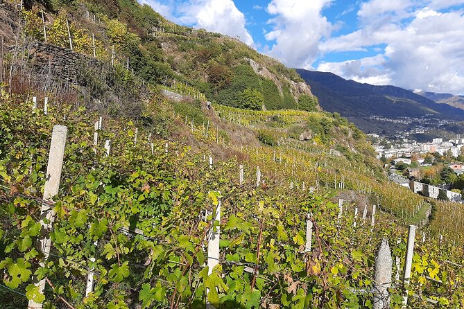Private Wine Tour: Terraced Vineyards with Alpine view from Milan - Why this Milan wine day trip feels like a real Alpine escape