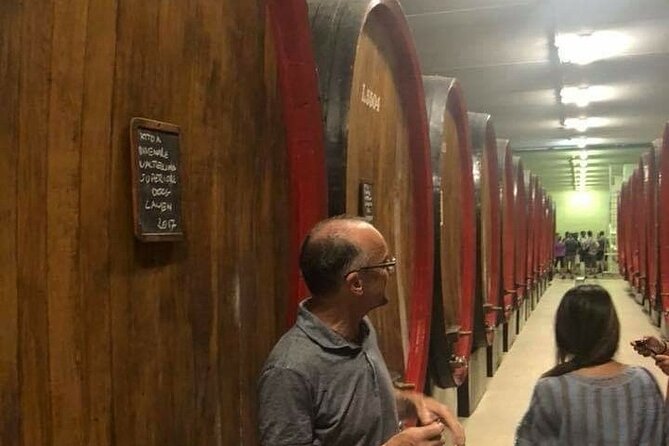 Private Wine Tour: Terraced Vineyards with Alpine view from Milan - Getting from Milan: trains plus a private minivan, and why it matters