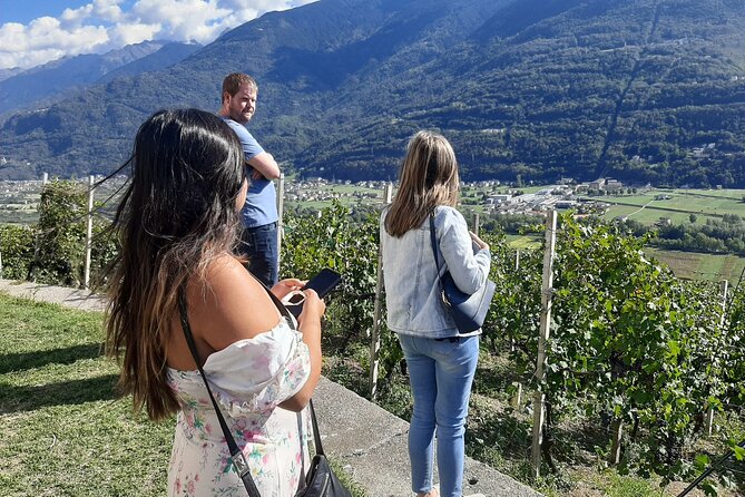 Private Wine Tour: Terraced Vineyards with Alpine view from Milan - Lake Como train ride: an easy opener to slow down the big day
