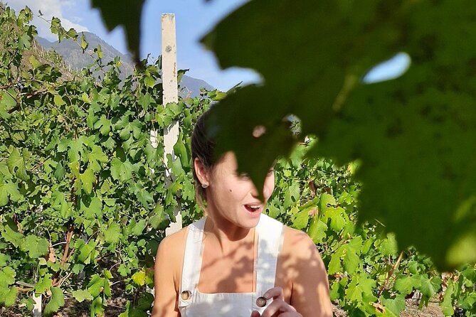 Private Wine Tour: Terraced Vineyards with Alpine view from Milan - Valtelline by road: riding the Strada del Vino