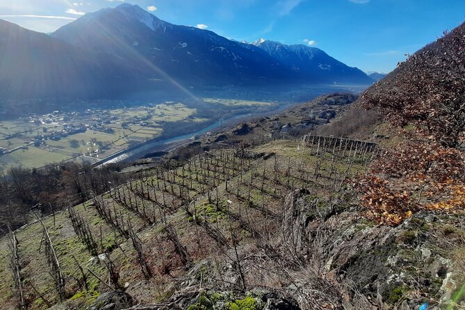 Private Wine Tour: Terraced Vineyards with Alpine view from Milan - Lunch on your own, plus a wine tasting window