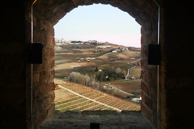 Small-Group Barolo Wine Tasting, Alba & UNESCO Piedmont Hills - Should you book this Barolo and Alba tour from Milan?