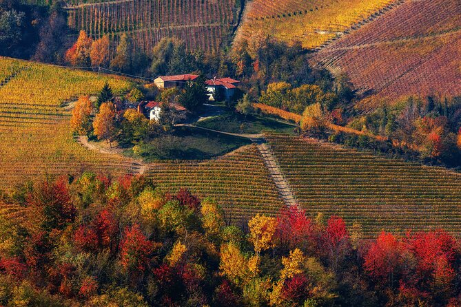 Small-Group Barolo Wine Tasting, Alba & UNESCO Piedmont Hills - Lunch and timing: where you have flexibility, and where you do not