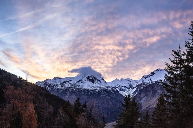 Swiss Alps Bernina Red Train and St.Moritz Tour from Milan - Price and Value: Is This a Good Deal for What You Get?