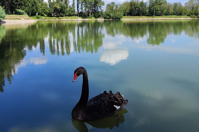 The Milan you don't expect, bike tour with picnic on the lake - Key highlights to know before you go