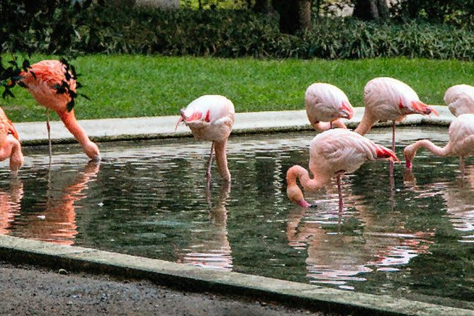 The Secret Milan – An Exclusive Stroll Beyond the Beaten Path - Why this Milan stroll feels exclusive, not tour-bus