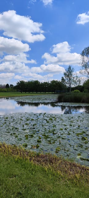 Trekking in the Wood with picnic on the turtles lake - Lake of Turtles picnic: what you get and why it feels special