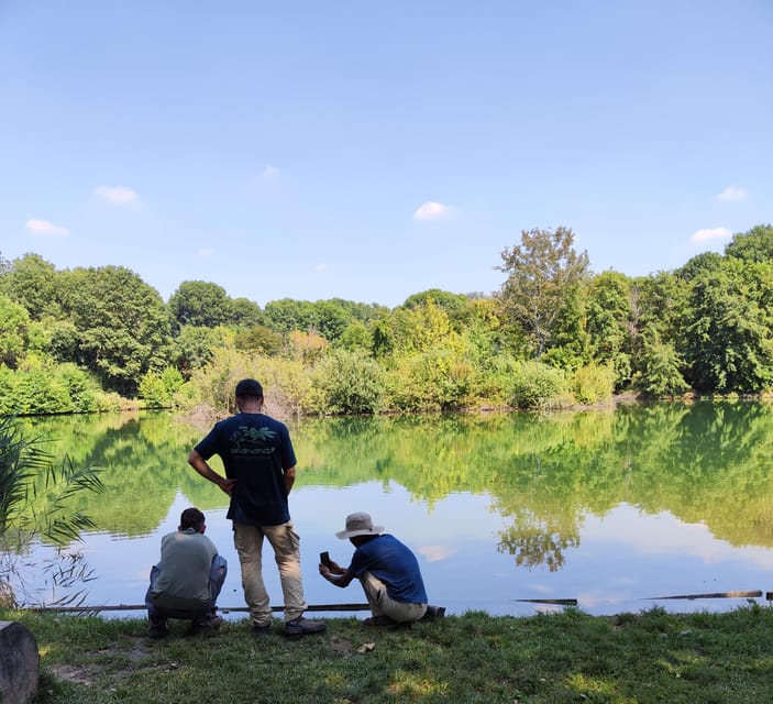 Trekking in the Wood with picnic on the turtles lake - Price and value at about $29 for two hours
