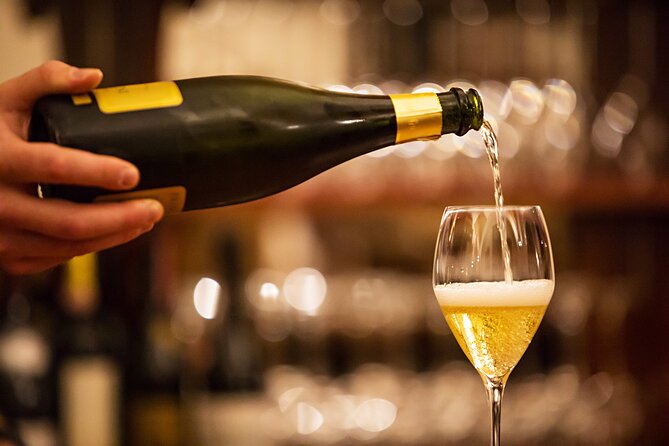 Wine Tasting Experience in Milan City Center - Who should book this, and who might want to skip it